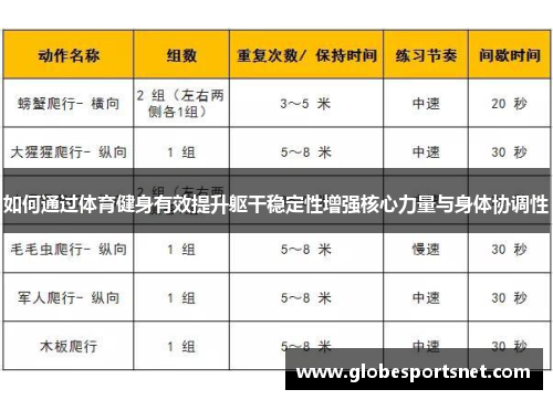 如何通过体育健身有效提升躯干稳定性增强核心力量与身体协调性