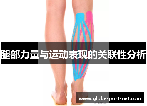 腿部力量与运动表现的关联性分析